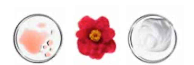 Morphosis Repair Rich Treatment djúpnæring 200 ml